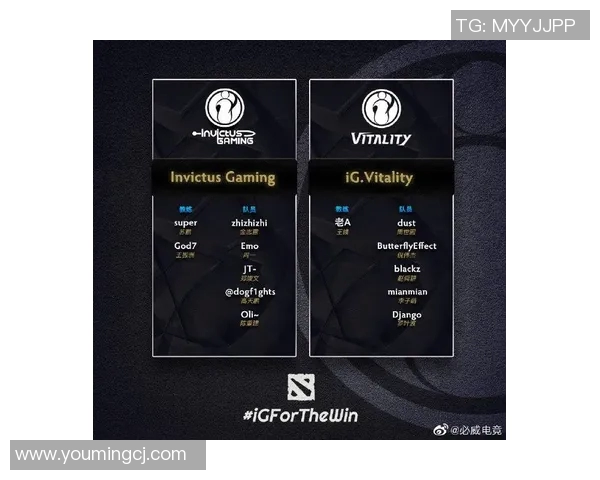 esports数据大师赛中IG团队协作表现分析与评价探讨