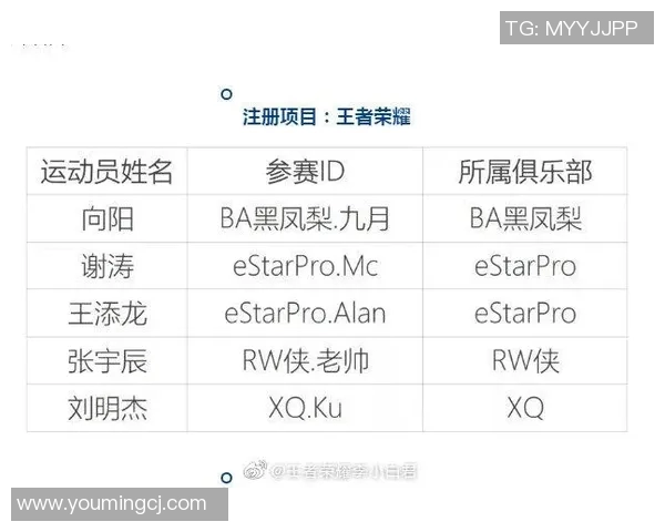 esports最新数据陈伟畅谈王者荣耀发展历程与未来展望的深度专访回顾 esports最新数据陈伟畅谈王者荣耀发展历程与未来展望的深度专访回顾